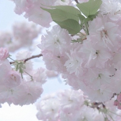 兽设校园场景设计福瑞群