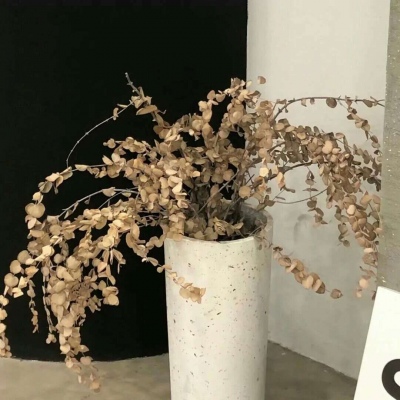 怀化福瑞交流群